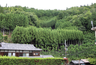 終点の「周山」まで約1時間20分