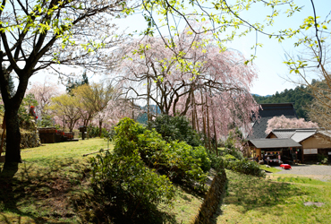 金花山宝泉寺の境内