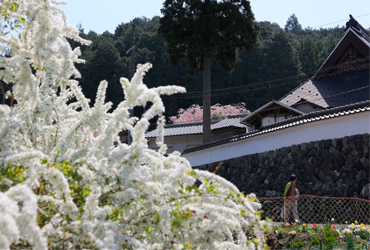 金花山宝泉寺までの交通アクセスについて